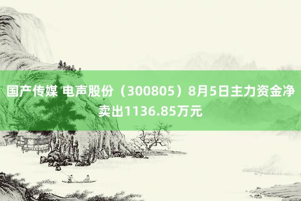 国产传媒 电声股份(300805)8月5日主力资金净卖出1136.85万元