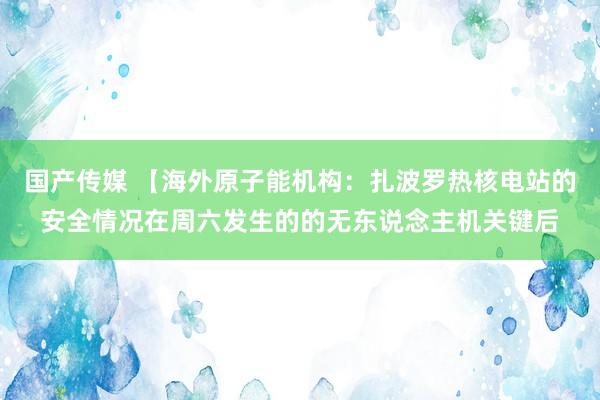国产传媒 【海外原子能机构:扎波罗热核电站的安全情况在周六发生的的无东说念主机关键后