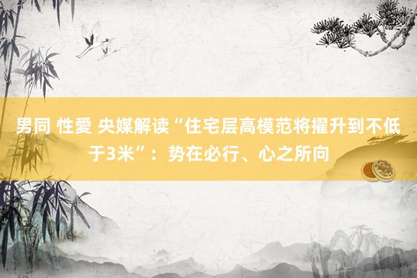 男同 性愛 央媒解读“住宅层高模范将擢升到不低于3米”：势在必行、心之所向