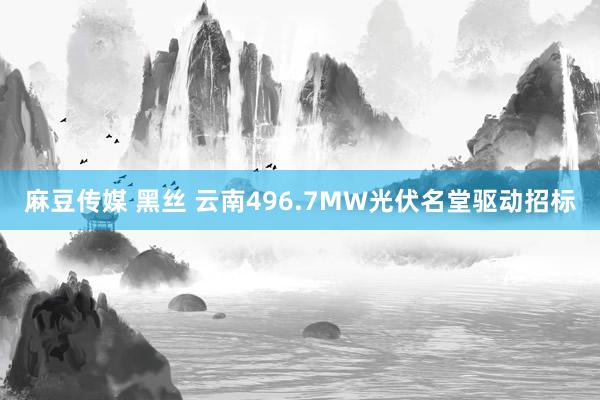 麻豆传媒 黑丝 云南496.7MW光伏名堂驱动招标