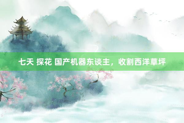 七天 探花 国产机器东谈主，收割西洋草坪
